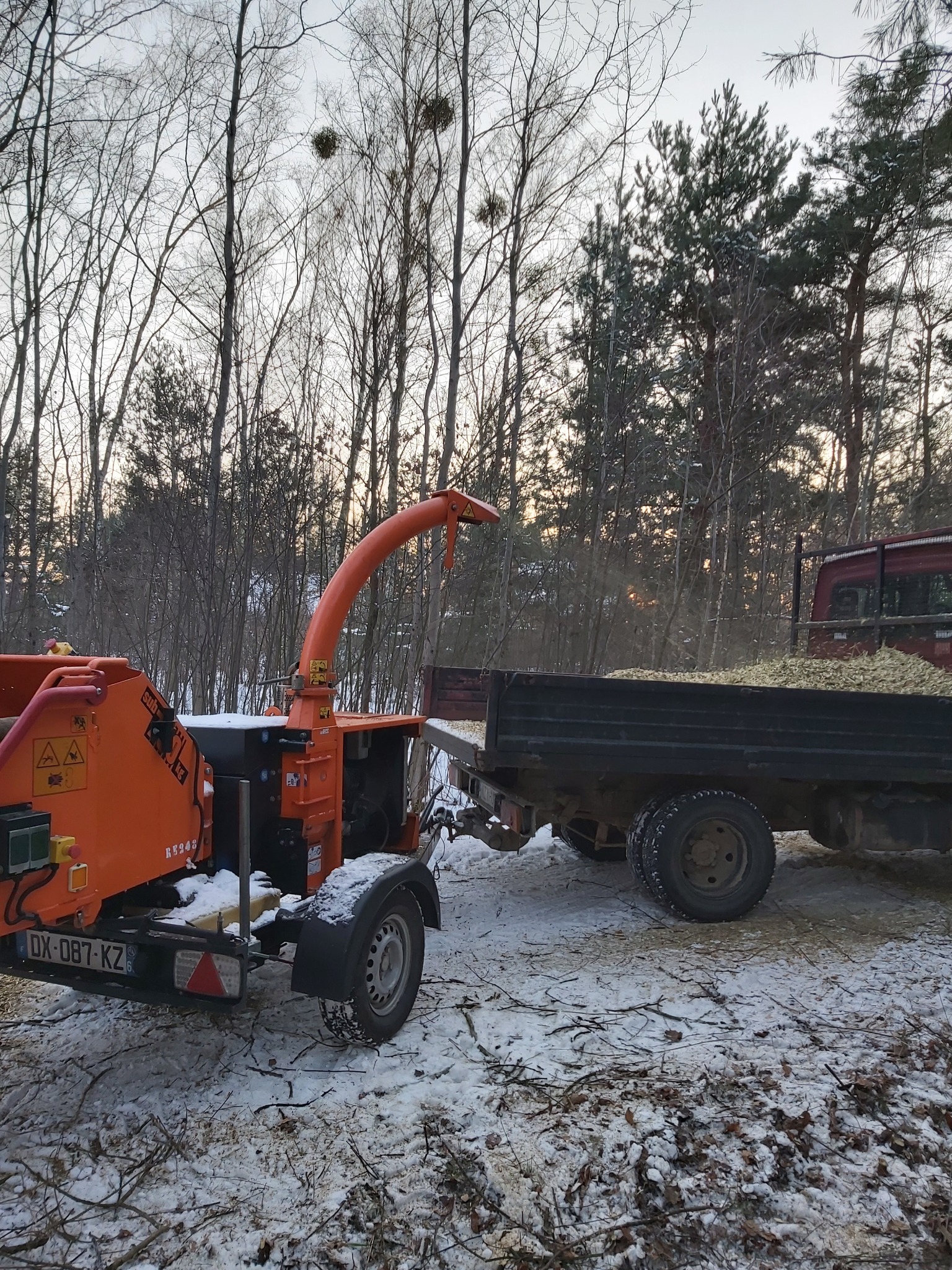 Pomarańczowa rębarka do gałęzi z przyczepą wypełnioną zrębkami na tle zimowego lasu z widocznymi jemiołami na drzewach.