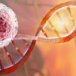 Ilustracja 3D przedstawiająca strukturę DNA z komórką w odcieniach czerwieni i pomarańczy na rozmytym tle.