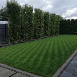 Rośliny i podłoża Dąbrowa Tarnowska