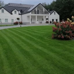 Garden Service Ogrody Adrian Kowal - Usługi w ogrodzie Dąbrowa Tarnowska