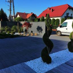 Garden Service Ogrody Adrian Kowal - Układanie kostki granitowej Dąbrowa Tarnowska