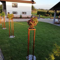 Garden Service Ogrody Adrian Kowal - Utrzymany trawnik z młodymi drzewkami w drewnianych podporach, otoczonych białymi kamieniami, na tle dwóch domów i zadbanego ogrodu.