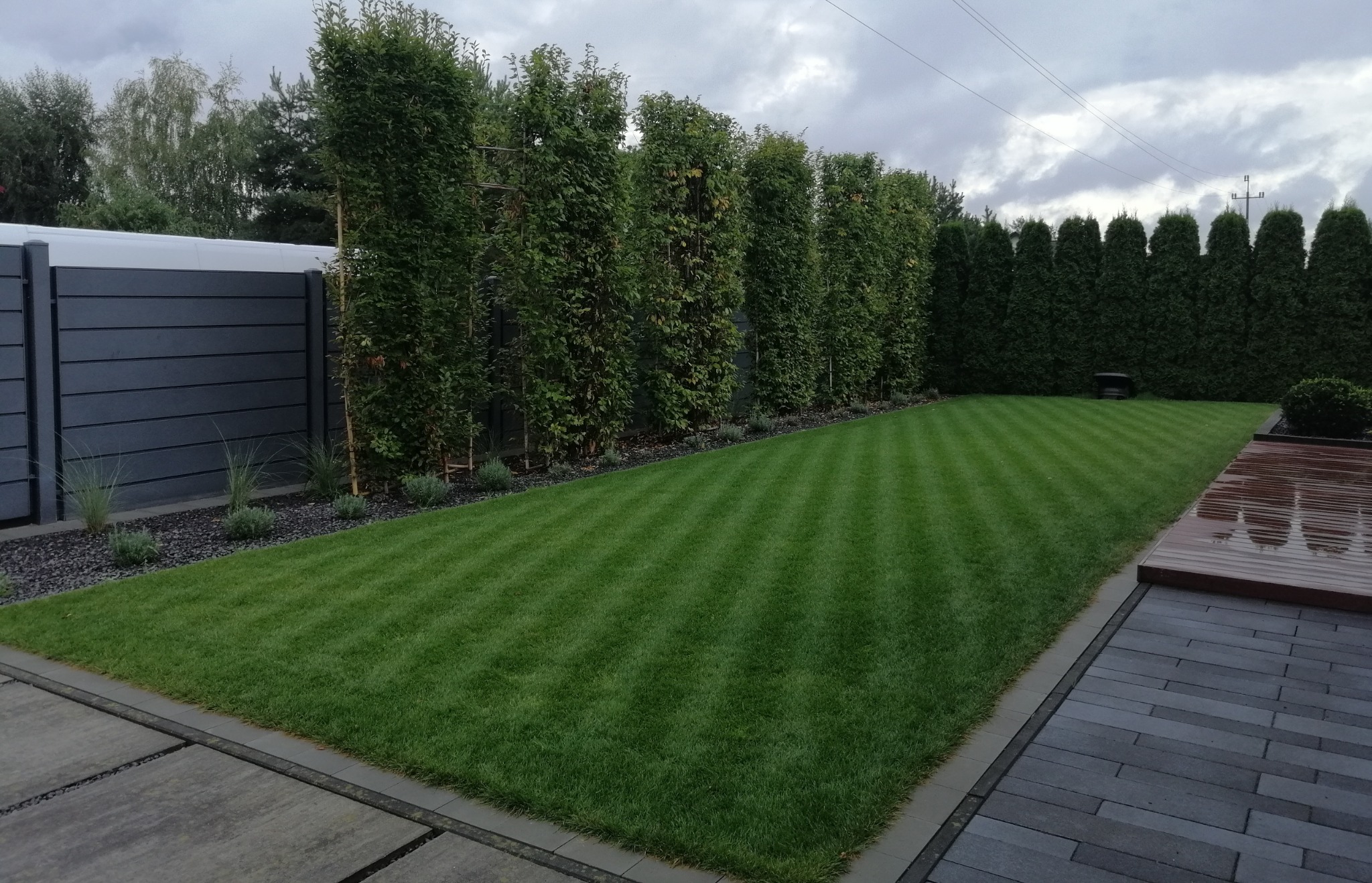 Perfekcyjnie skoszony trawnik z wyraźnymi pasami, obramowany szarymi płytami i nowoczesnym ogrodzeniem. W tle rząd strzyżonych drzew i krzewów.