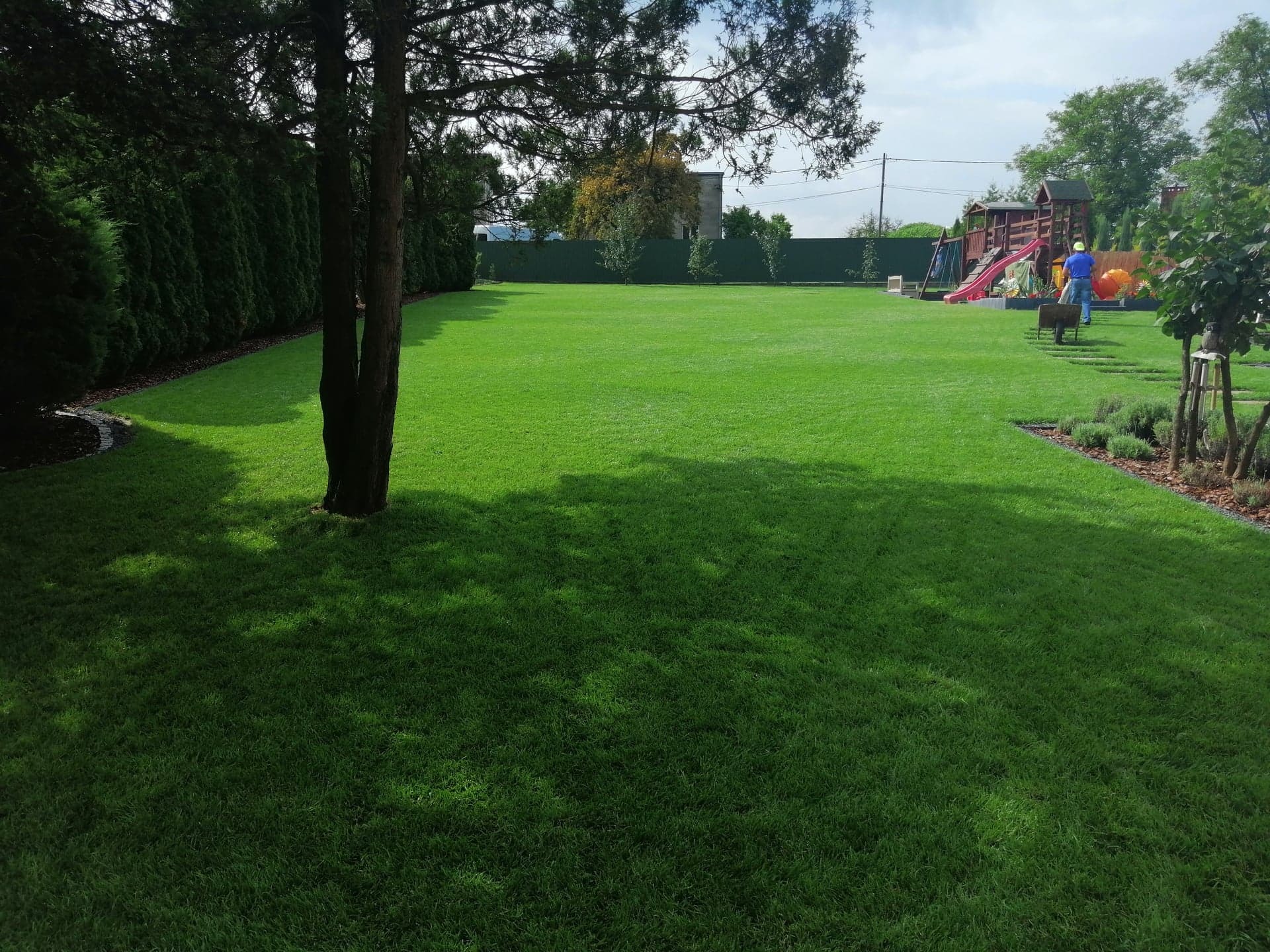 Wykonanie przez naszą Firmę trawnika gwarancją najwyższej jakości