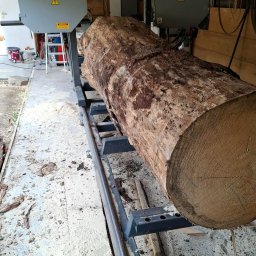 SERVISCO - Kłoda drewna na traku taśmowym w tartaku, przygotowana do cięcia. Widoczne ostrze piły i drewniane wióry. Surowe drewno z widocznymi słojami.