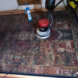 Clean Tom - Czyszczenie wzorzystego dywanu maszyną z czerwoną obudową, obok spryskiwacz ciśnieniowy, widoczny efekt czyszczenia.