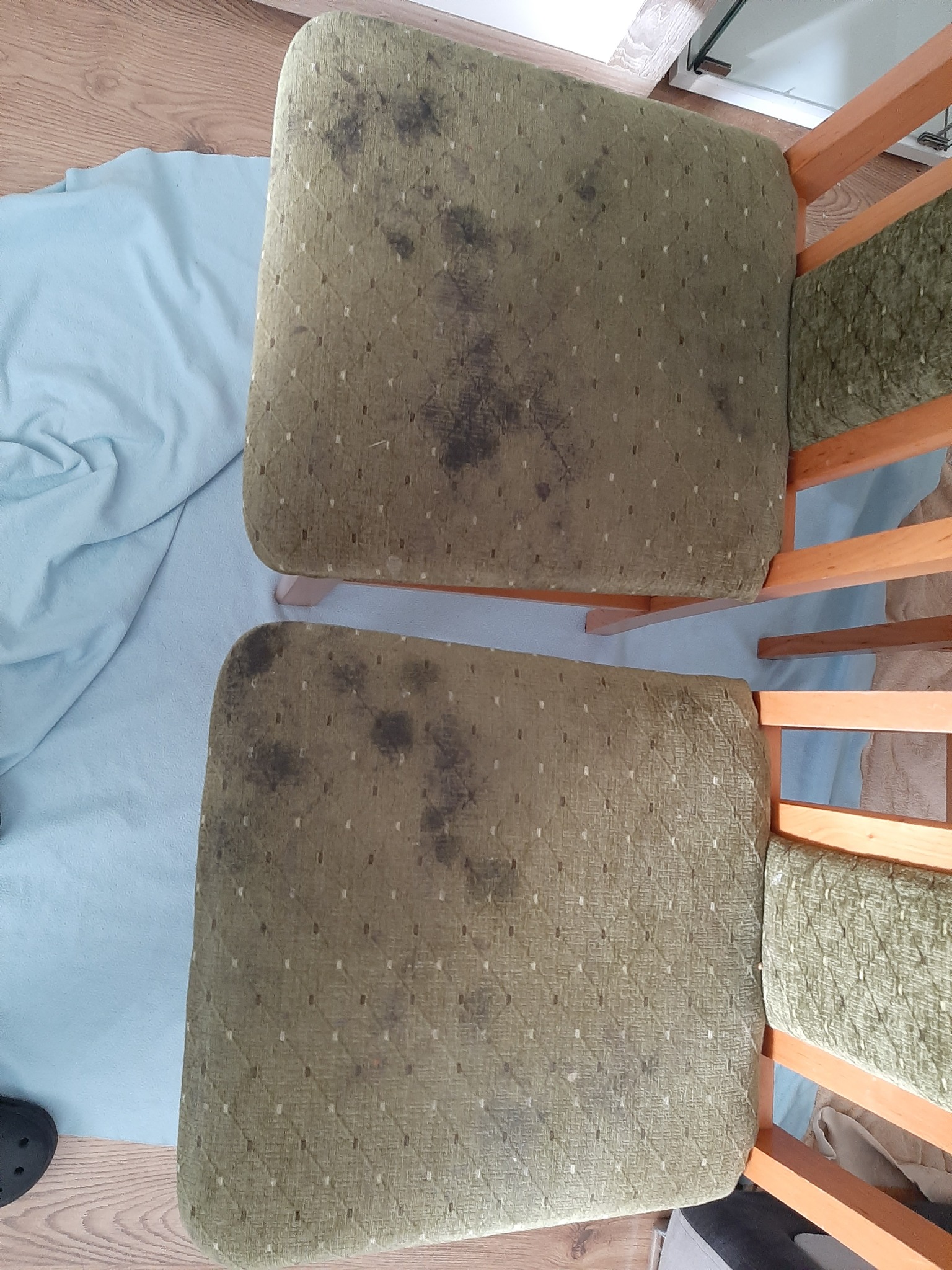 Dwa zielone krzesła tapicerowane z widocznymi, ciemnymi plamami zabrudzeń na siedziskach przed praniem, na tle jasnoniebieskiej tkaniny.