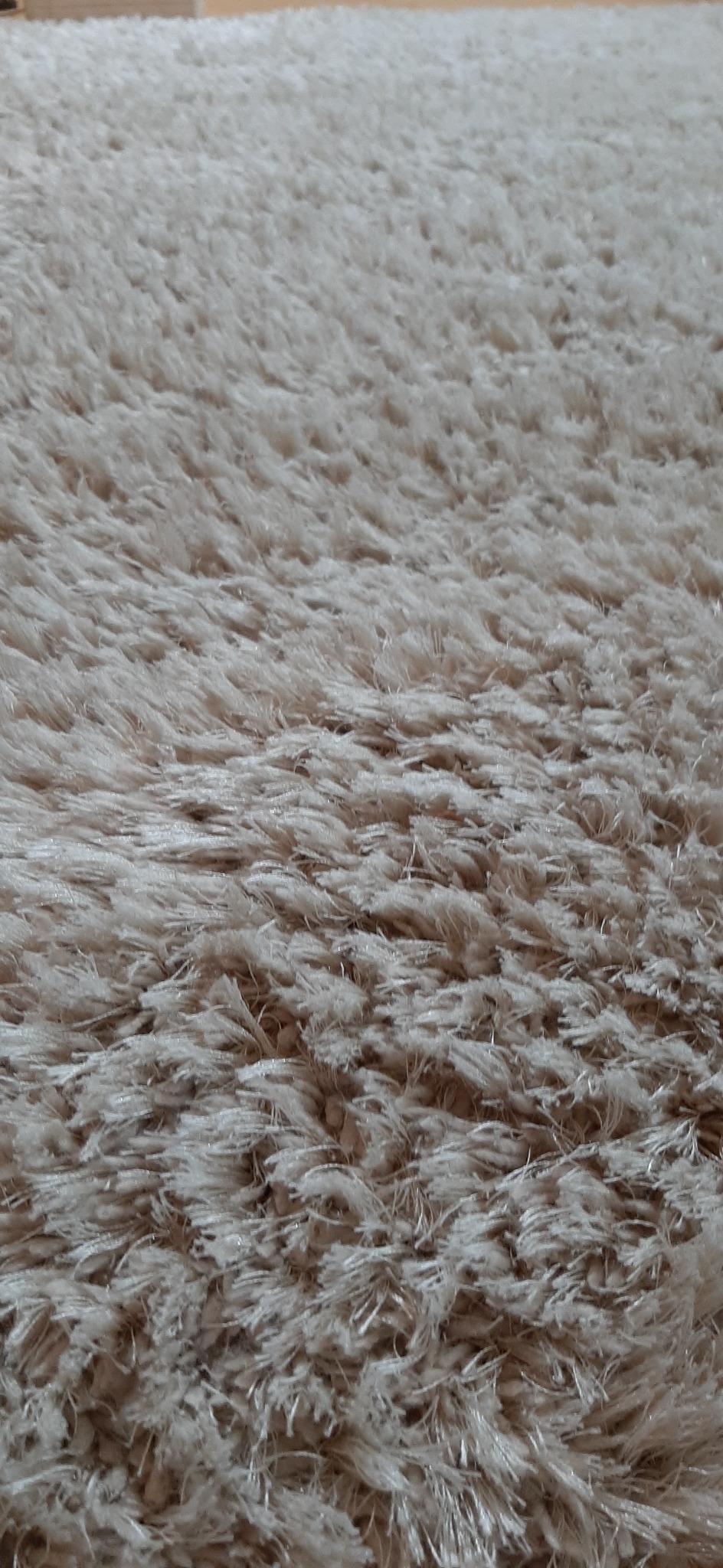 Beżowy dywan typu shaggy z długim włosiem, widok z bliska, ukazujący fakturę i miękkość materiału.
