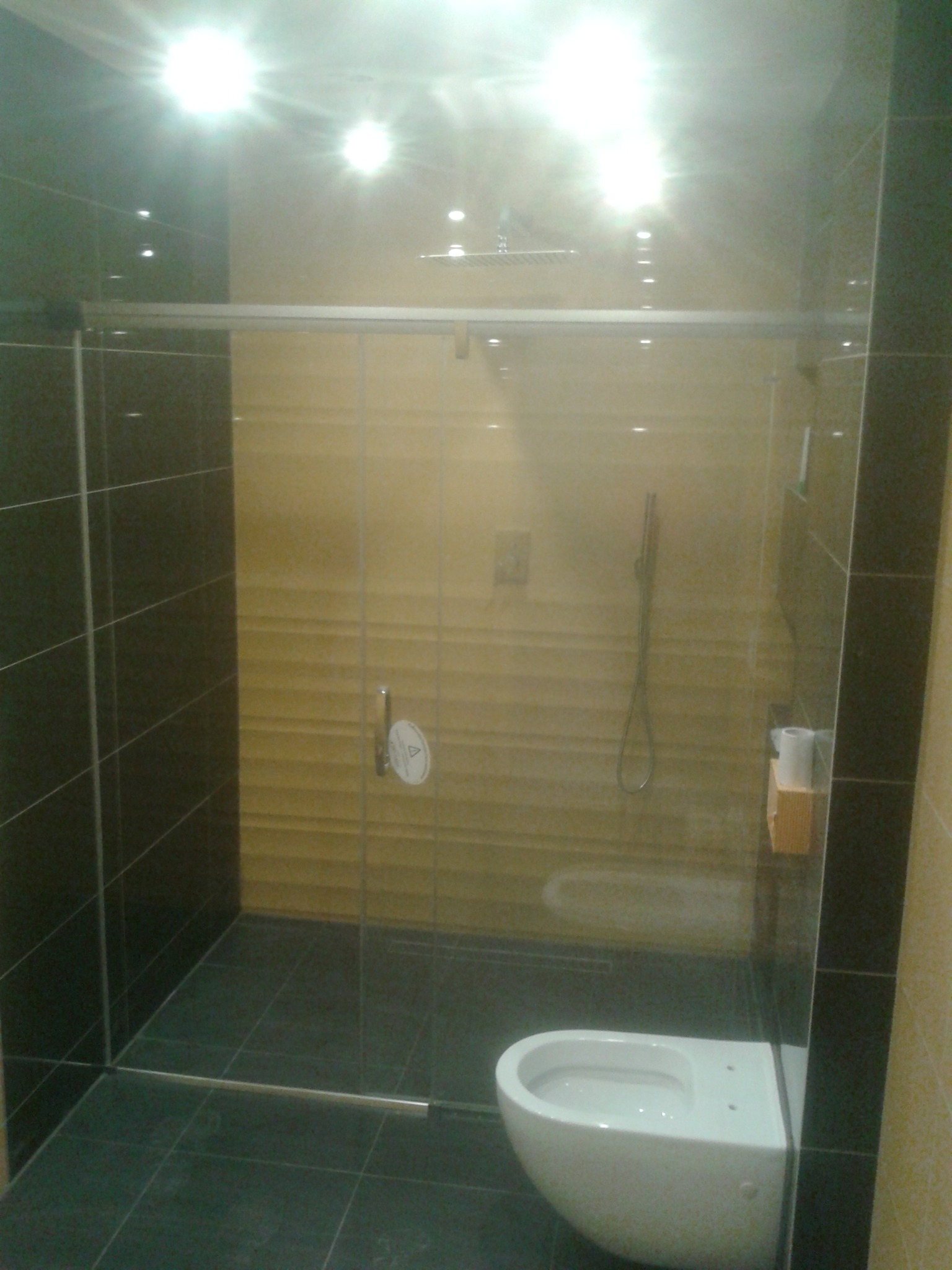 Nowoczesna kabina prysznicowa ze szklanymi drzwiami przesuwnymi, wykończona ciemnymi i beżowymi płytkami, z widoczną toaletą podwieszaną i deszczownicą.