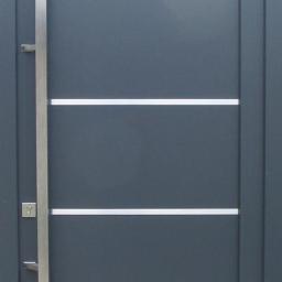 Drzwi exclusive doors z czytnikiem linii 