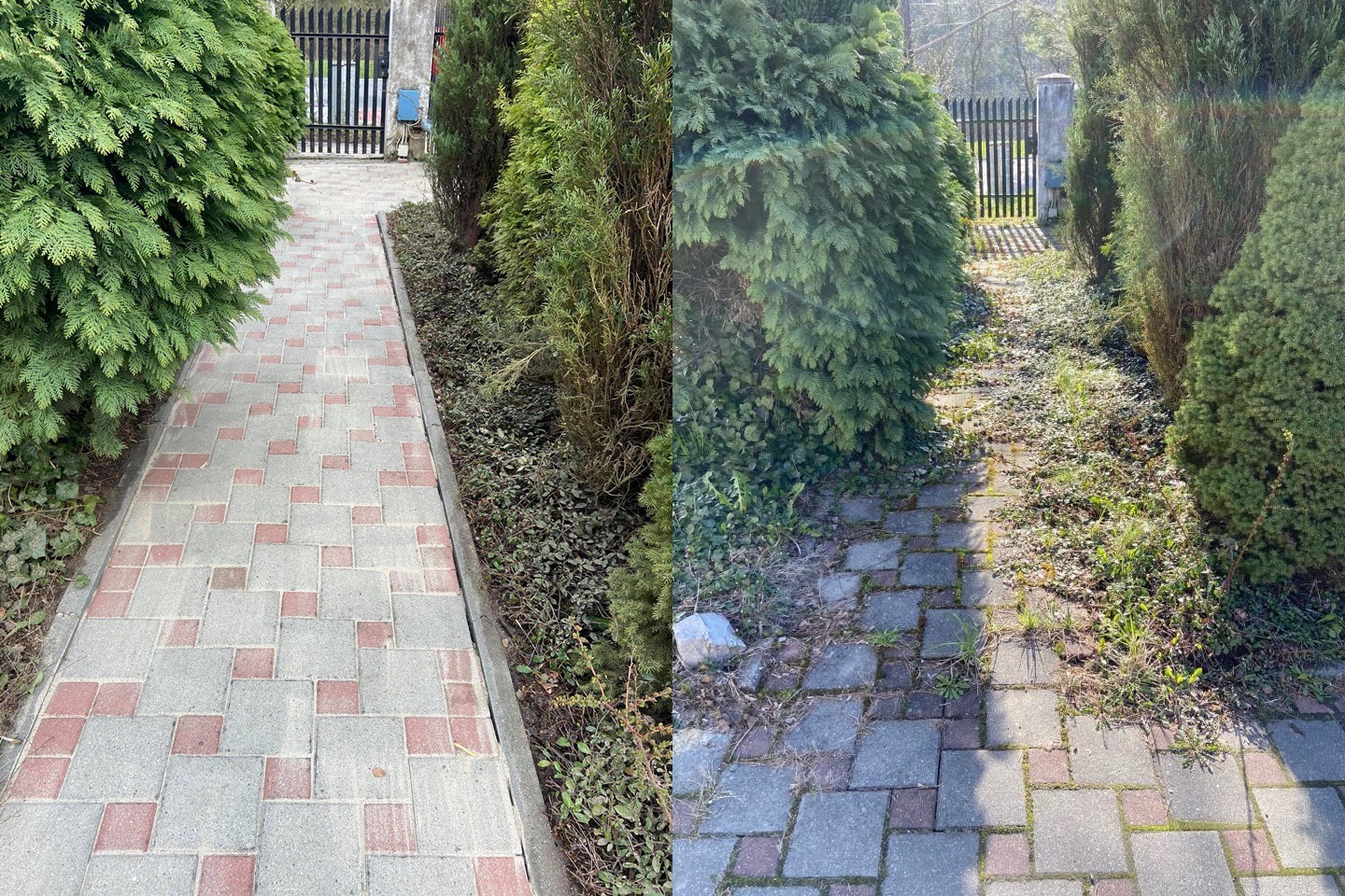 Porównanie stanu kostki brukowej przed i po czyszczeniu, widoczna różnica w kolorze i czystości, kostka po lewej stronie jest czysta i ma intensywne kolory, a po prawej jest brudna i pokryta mchem.