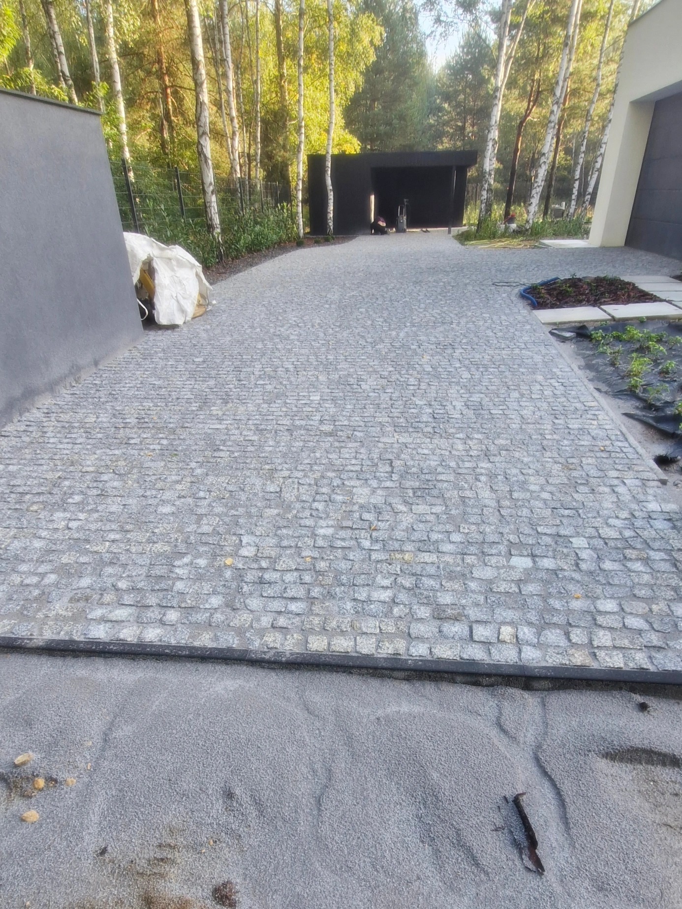 Ułożona kostka granitowa na podjeździe, z widocznym piaskiem i fragmentem ogrodu. W tle jasne brzozy i nowoczesna architektura domu.