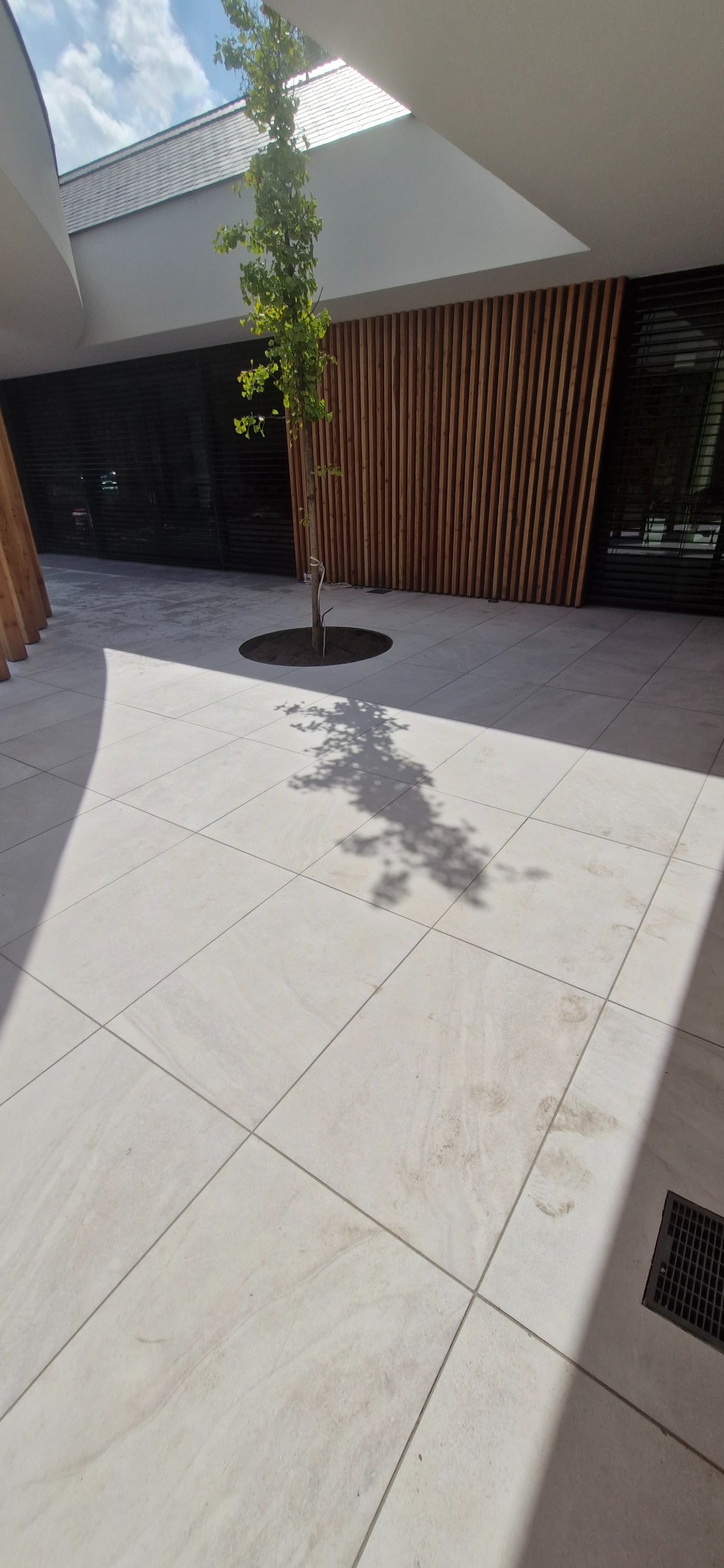 Nowoczesne patio z jasną kostką, centralnie posadzonym drzewem i drewnianą ścianą w tle, oświetlone naturalnym światłem słonecznym.