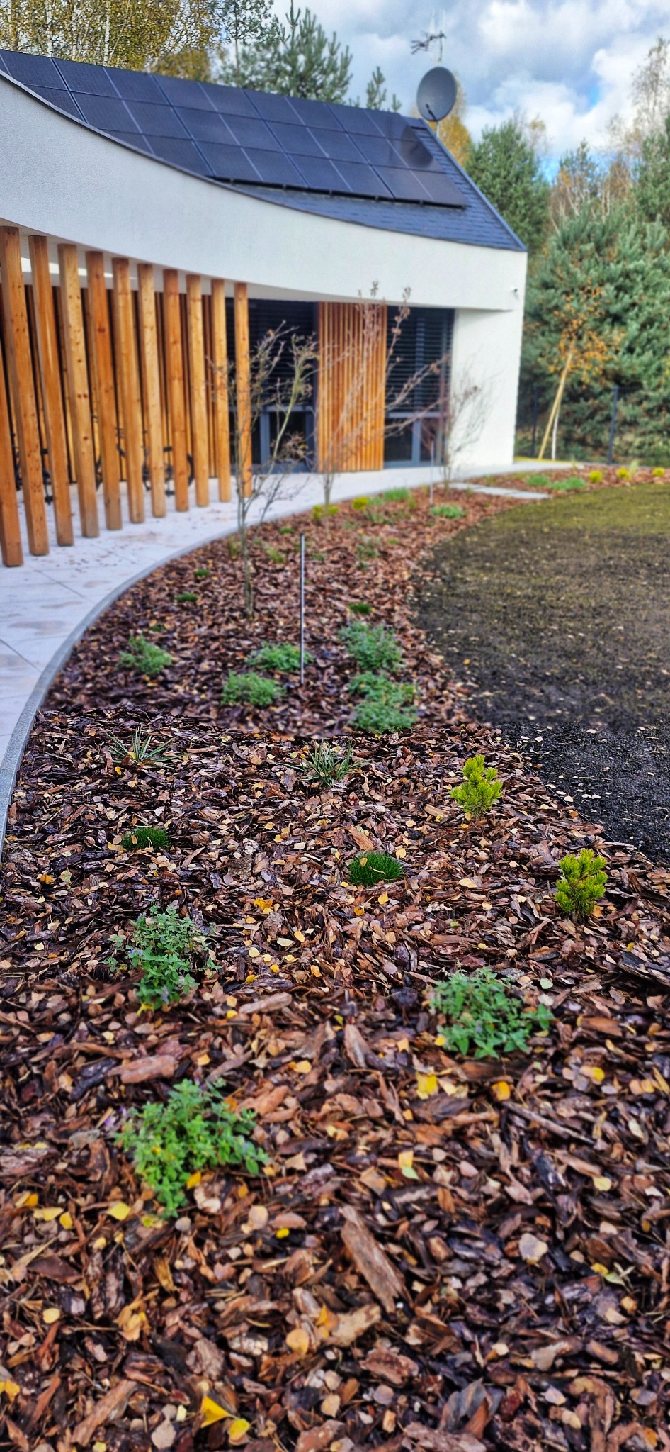 Rabata z korą i młodymi roślinami na tle nowoczesnego domu z drewnianą palisadą i panelami słonecznymi. Świeżo założony ogród.