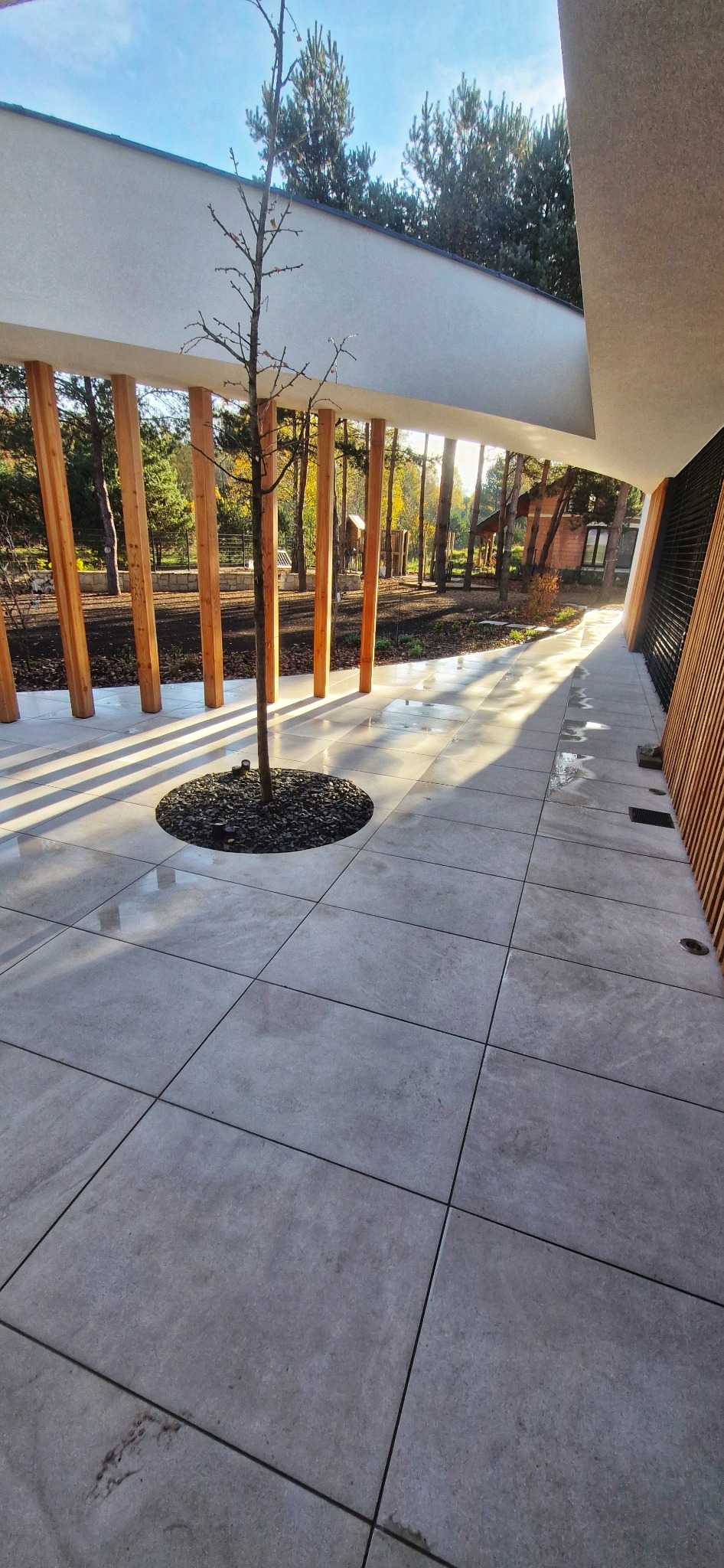 Nowoczesny ogród z drzewem w okrągłym klombie z kamieni, wyłożony płytami chodnikowymi, z drewnianą pergolą i widokiem na park w słoneczny dzień.