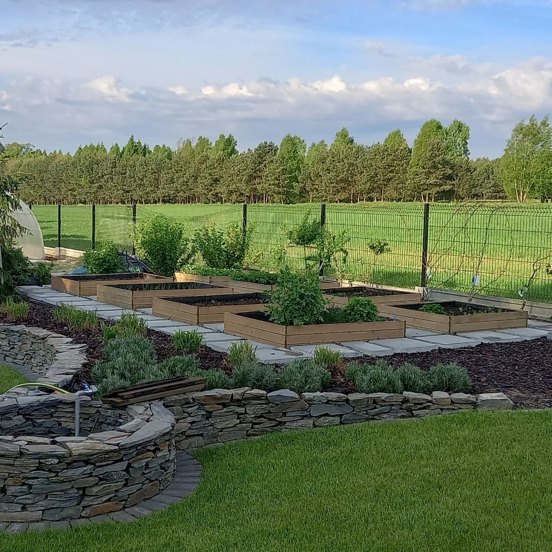 Ogród z podwyższonymi grządkami w drewnianych obudowach, kamiennym murkiem i zielonym trawnikiem na pierwszym planie. W tle widoczny rząd drzew i błękitne niebo.