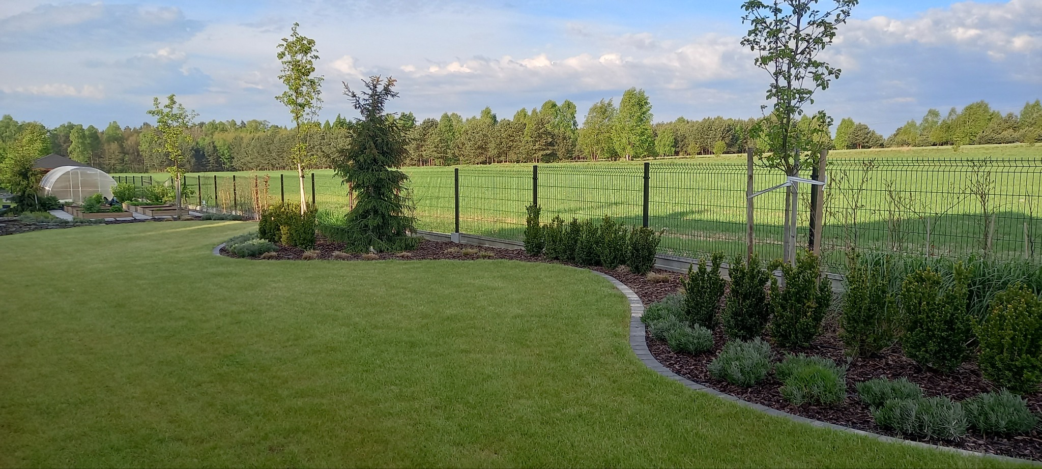 Zadbany ogród z równo przystrzyżonym trawnikiem, obrzeżami z kostki, nasadzeniami krzewów i drzew, oraz tunelem foliowym w tle, ogrodzony siatką.