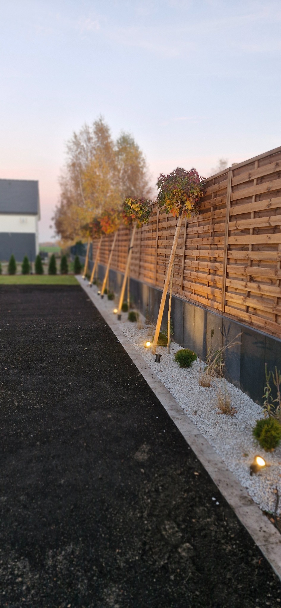 Oświetlony ogród z drewnianym płotem, ozdobnymi drzewami podpartymi tyczkami, kamieniami i lampami. Widok na dom w tle, spokojny krajobraz o zmierzchu.