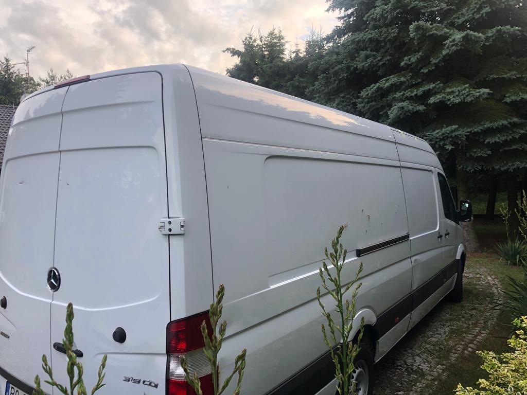 Biały samochód dostawczy Mercedes-Benz Sprinter 313 CDI zaparkowany na trawiastym terenie z widocznymi drzewami iglastymi w tle, sfotografowany z tyłu pod pochmurnym niebem.