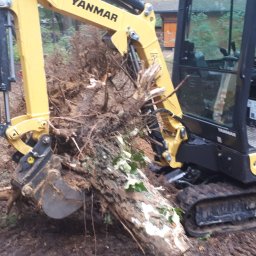 Pielęgnacja ogrodów Łódź 4