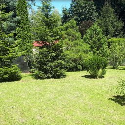 Pielęgnacja ogrodów Łódź 2