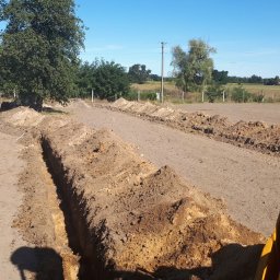 Pielęgnacja ogrodów Łódź 1