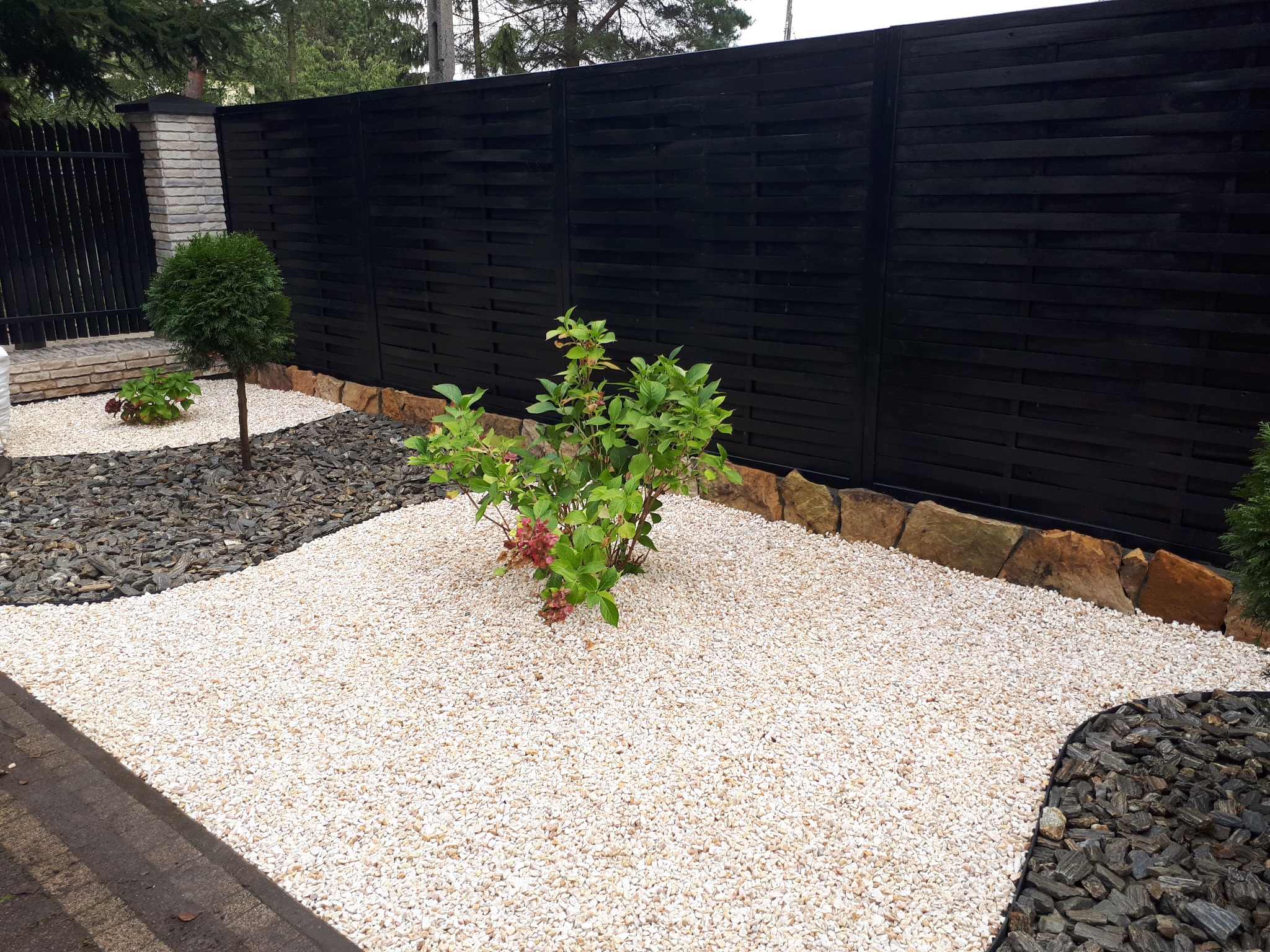 Ogród z białym i czarnym grysem, niskie krzewy i formowane drzewko na tle czarnego, drewnianego płotu.