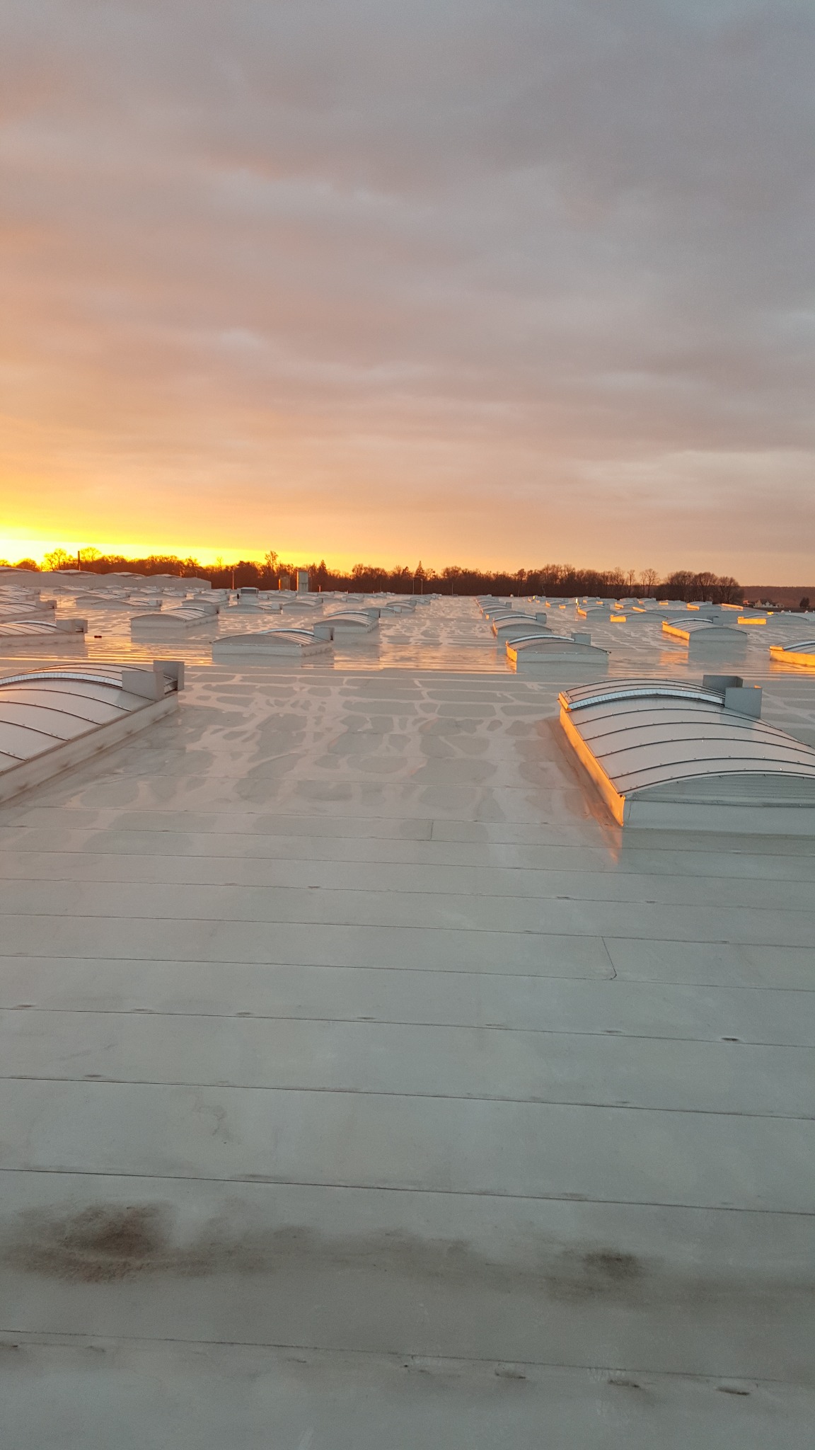 Biały dach przemysłowy z licznymi świetlikami kopułowymi, oświetlony ciepłym światłem zachodzącego słońca na horyzoncie.