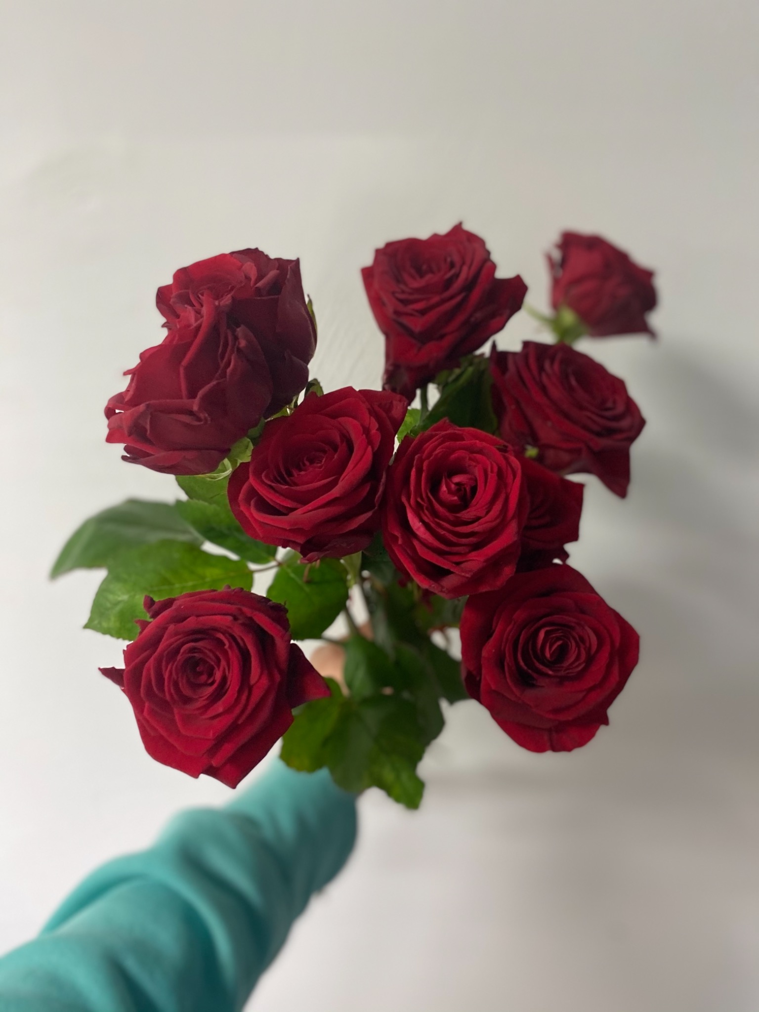 Dłoń w turkusowym rękawie trzyma bukiet ośmiu ciemnoczerwonych róż na tle białej ściany.