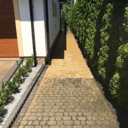 Agnes-Bud Agnieszka Figarska - Żółta kostka brukowa częściowo umyta, z widoczną różnicą w kolorze pomiędzy czystą a brudną powierzchnią, obok budynku i wysokich tuj.