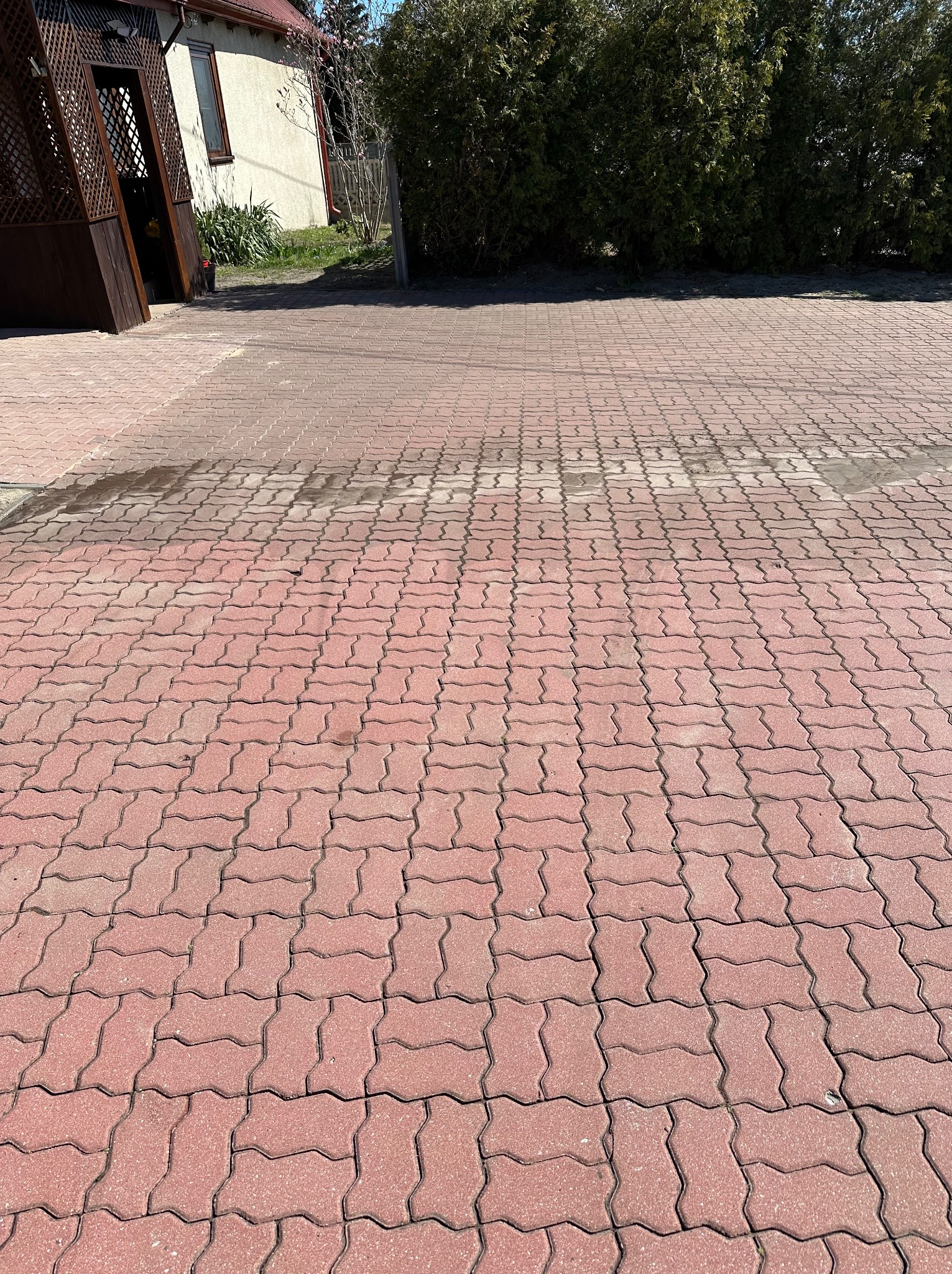 Czerwona kostka brukowa ułożona na posesji, częściowo mokra, sugerująca niedawne mycie. Widoczny fragment budynku i zieleń w tle. Ujęcie z poziomu gruntu.