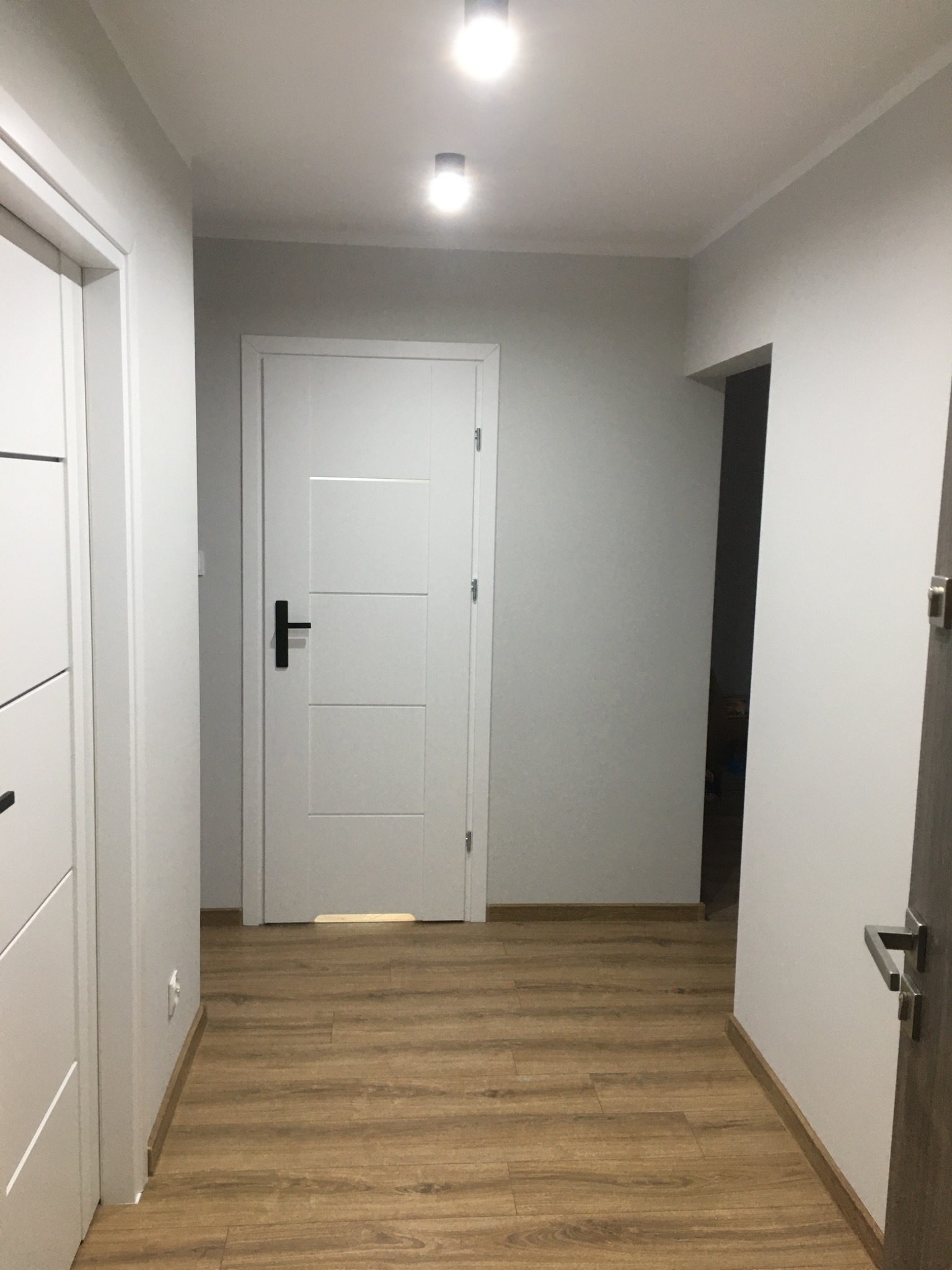 Nowoczesny korytarz z drewnopodobną podłogą, białymi ścianami i drzwiami z czarnymi klamkami, oświetlony dwoma punktowymi lampami sufitowymi.