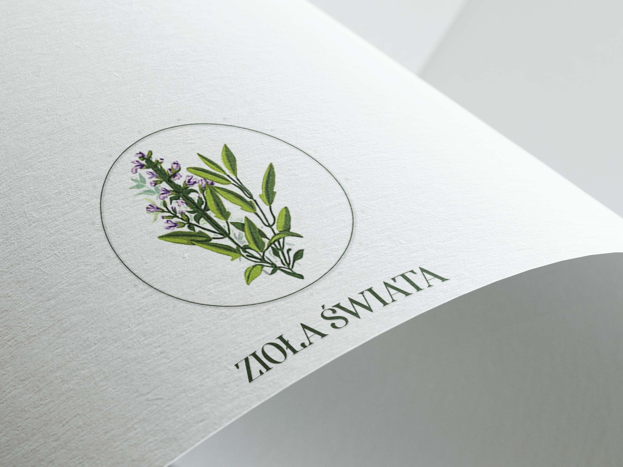 Logo firmy 'Zioła Świata' z rysunkiem gałązki szałwii w okręgu, wydrukowane na białym, fakturowanym papierze, widoczne pod kątem.