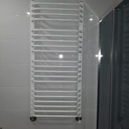 Hydra-luk - Biały, drabinkowy grzejnik łazienkowy zamontowany na białych, błyszczących płytkach, obok kabiny prysznicowej z przezroczystymi drzwiami.