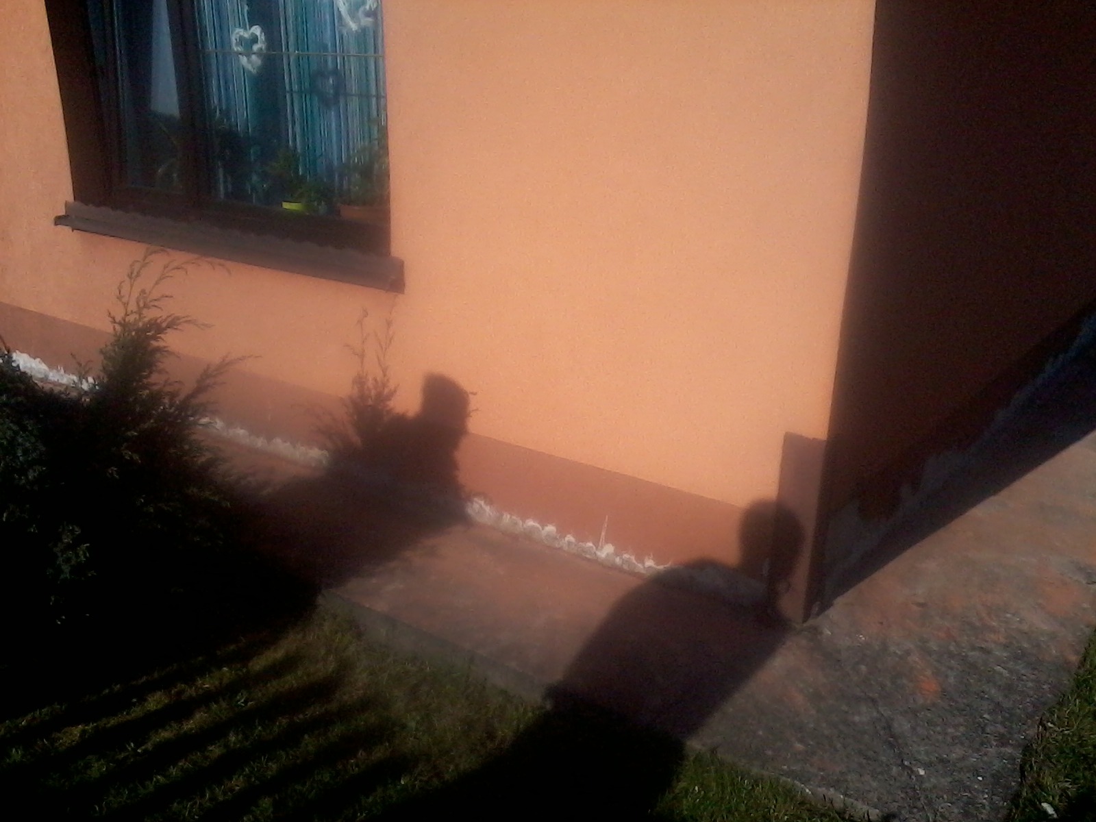 iniekcja krystaliczna Rybnik