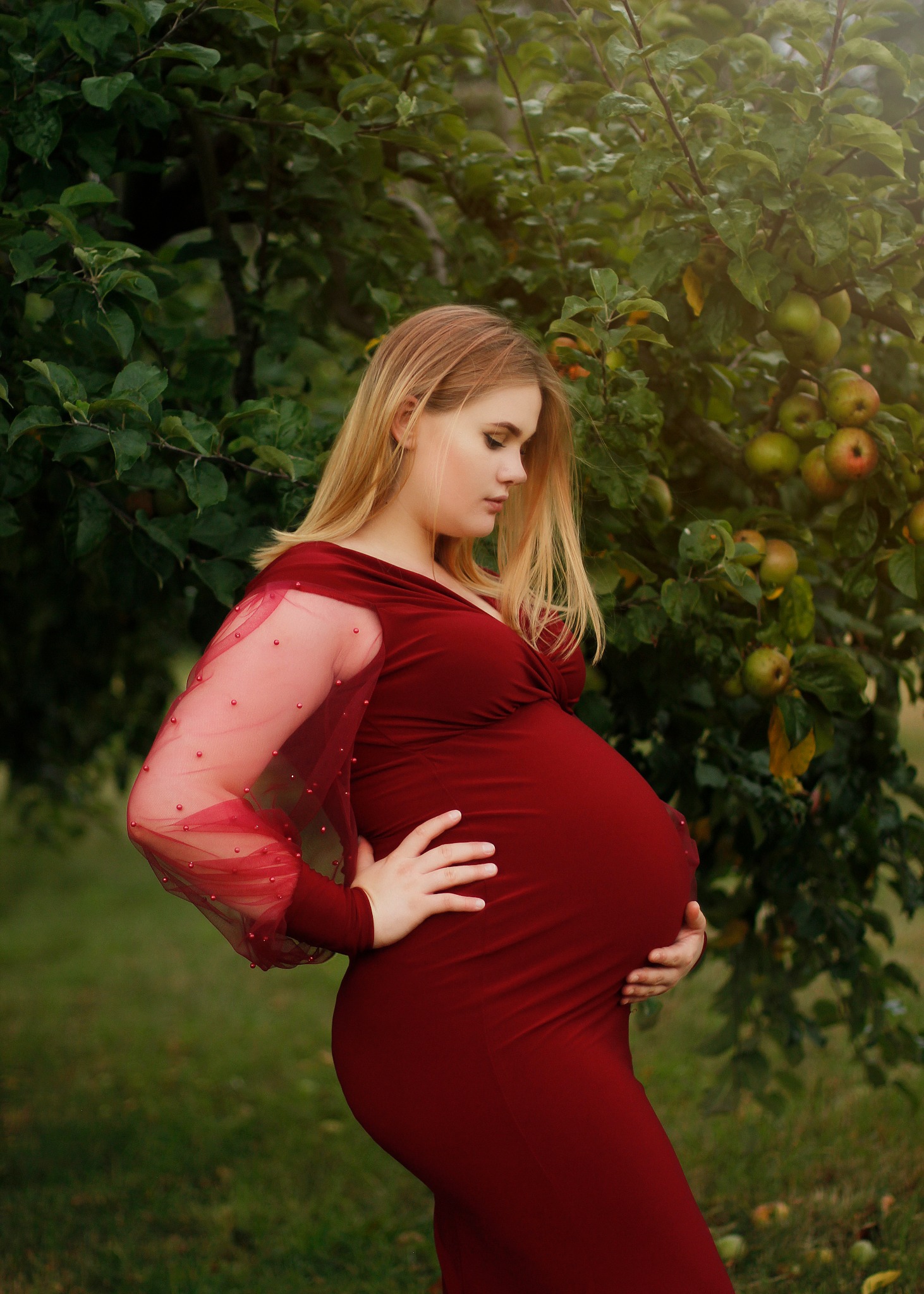 Kobieta w ciąży w bordowej sukni z tiulowymi rękawami w kropki, pozująca pod drzewem jabłoni z dojrzałymi owocami.