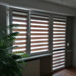 Trzy okna z zamontowanymi beżowo-białymi przesłonami okiennymi typu dzień i noc, widok z wnętrza mieszkania w Bydgoszczy, z zieloną rośliną doniczkową w lewym dolnym rogu.