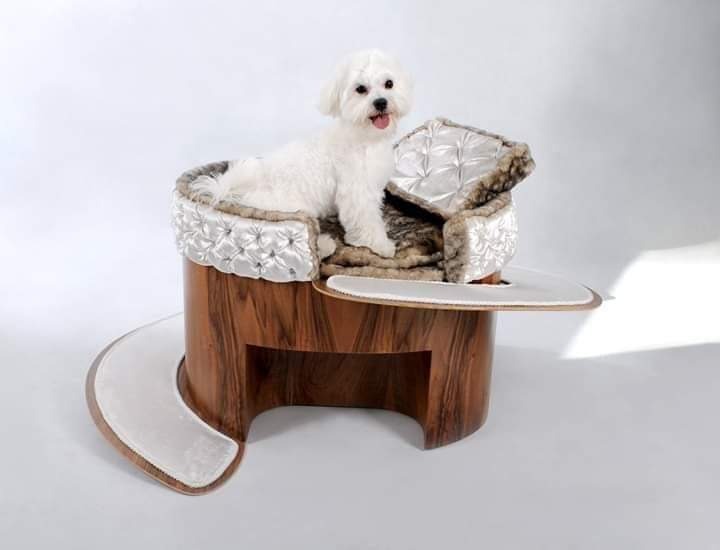 Biały pies rasy Maltańczyk siedzi w luksusowym, okrągłym legowisku obitym białą pikowaną skórą i futrem, umieszczonym na podstawie z drewna o bogatym usłojeniu, z dodatkową, wysuwaną półką.