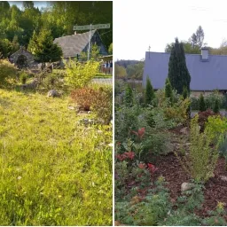 Porównanie stanu trawnika i ogrodu przed i po renowacji: zarośnięta trawa kontra uporządkowana rabata z korą, kamieniami i roślinami ozdobnymi, widoczny budynek w tle.