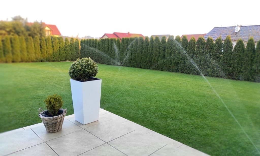 Zraszany trawnik z żywopłotem z tui w tle, donice z bukszpanem na jasnych płytkach tarasowych.