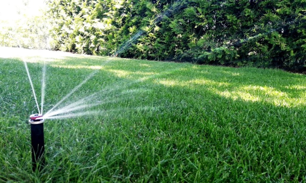 Automatyczny system nawadniania trawnika w ogrodzie, zraszacz rozpyla wodę, w tle zielony żywopłot.
