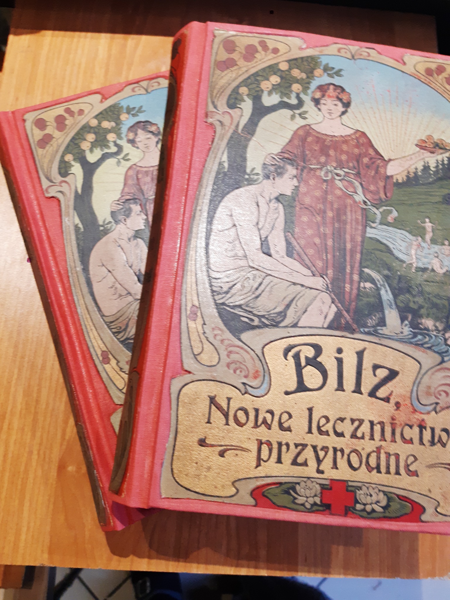 Dwa stare, oprawione w czerwoną okładkę tomy książki 'Bilz, Nowe lecznictwo przyrodne' z secesyjną ilustracją przedstawiającą scenę uzdrowienia przy źródle.