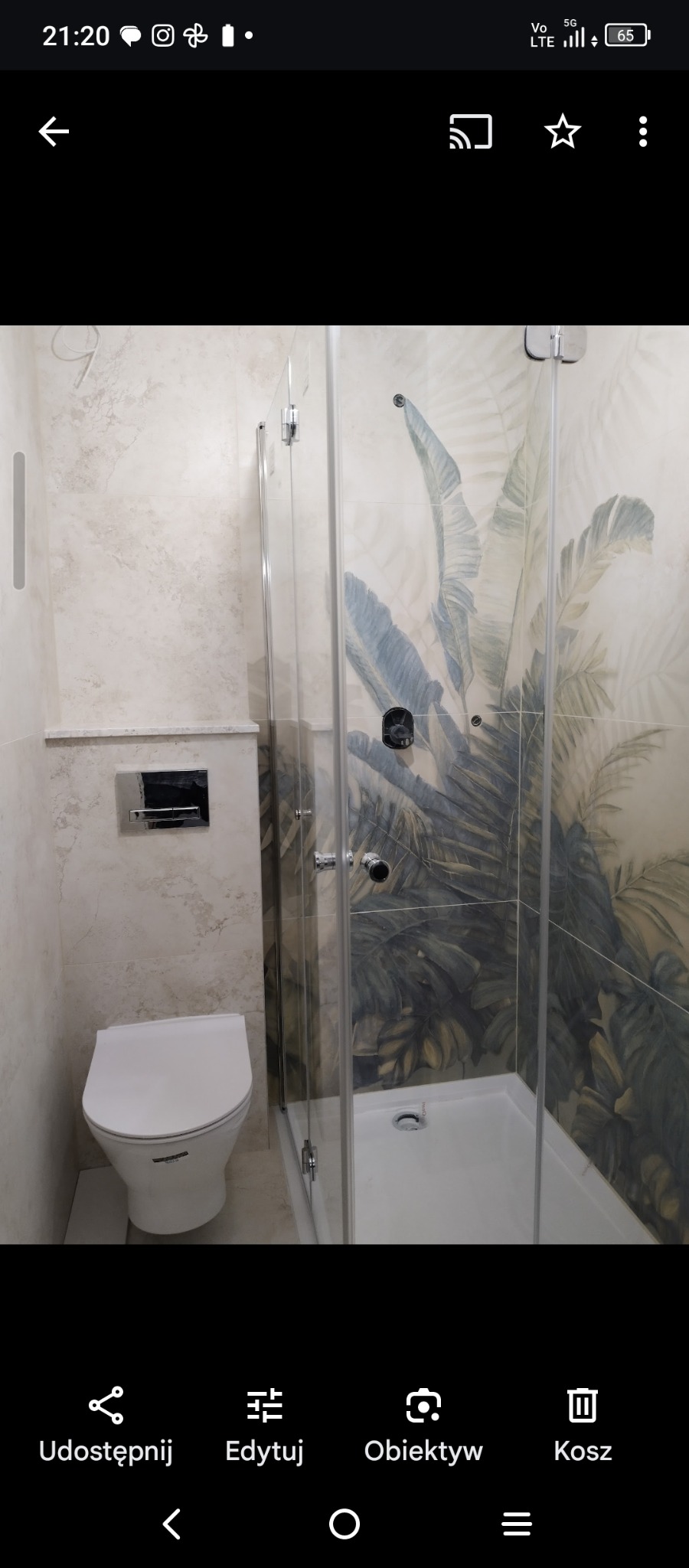 Wykończona łazienka z kabiną prysznicową i toaletą. Na ścianach płytki z motywem roślinnym. Widoczne chromowane elementy armatury i szklane drzwi kabiny.