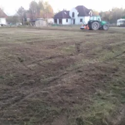 Oczyszczanie działek z samosiejek poprzez mielenie