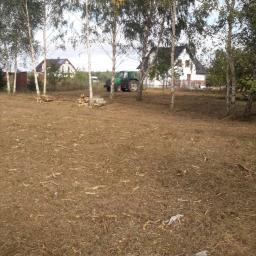 Mielenie działki z pozostawieniem 10% dorodnego drzewostanu