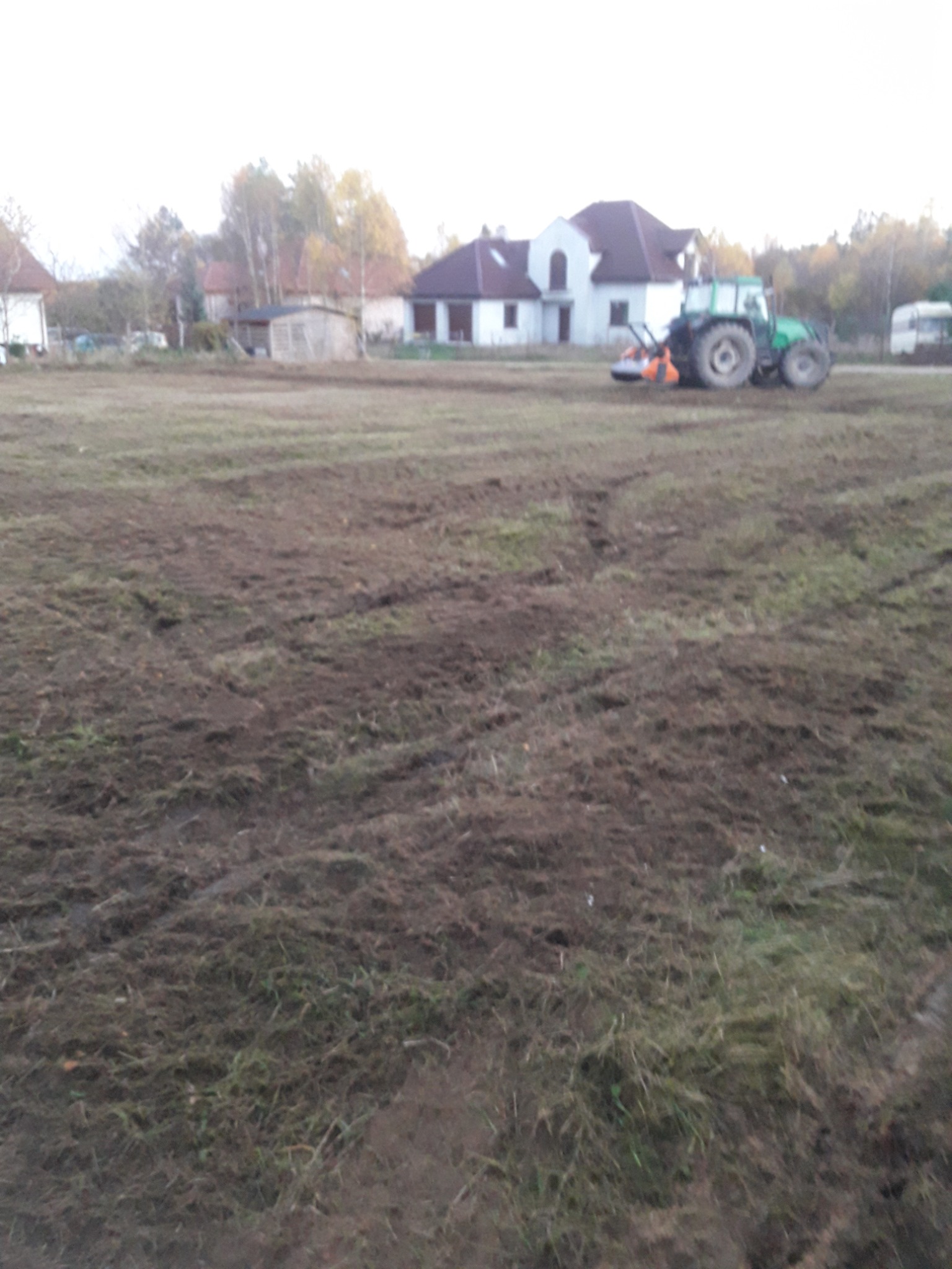 Oczyszczanie działek z samosiejek poprzez mielenie