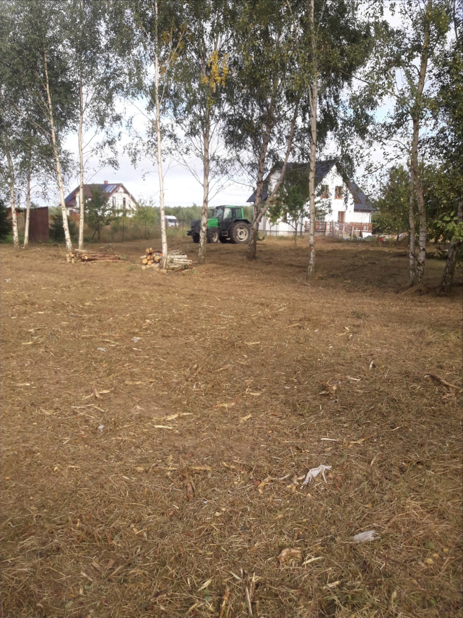 Mielenie działki z pozostawieniem 10% dorodnego drzewostanu