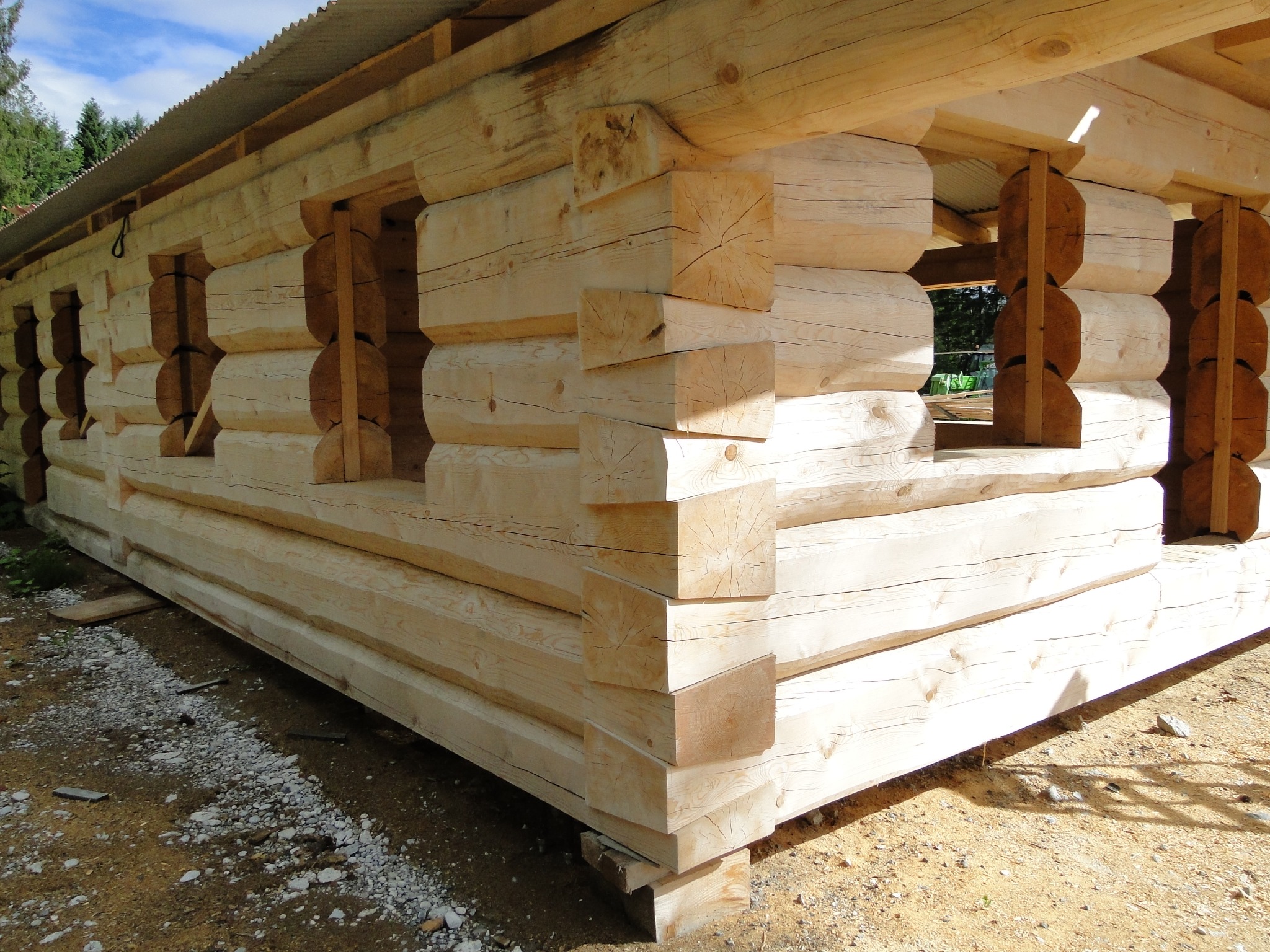 Surowa konstrukcja domu z bali, widoczne połączenia narożne i otwory okienne, tymczasowe wsporniki drewniane, podłoże żwirowe.