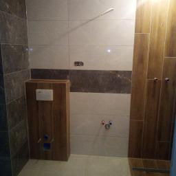 Glazurnik Zielona Góra 1