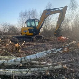 Żółta koparka JCB 90Z-1 z hydraulicznym chwytakiem tnącym drzewa w terenie z powalonymi pniami brzóz, błękitne niebo w tle.